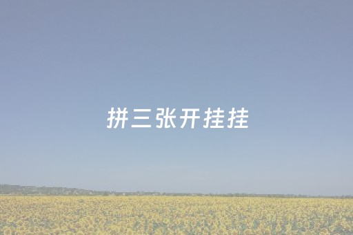 拼三张开挂挂（拼三张挂）