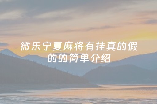 微乐宁夏麻将有挂真的假的的简单介绍