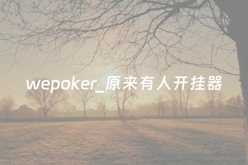 wepoker_原来有人开挂器（wepoker开挂）