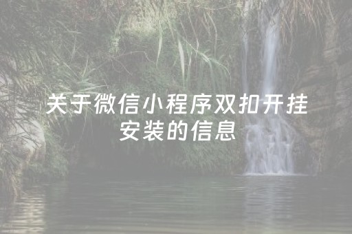 关于微信小程序双扣开挂安装的信息