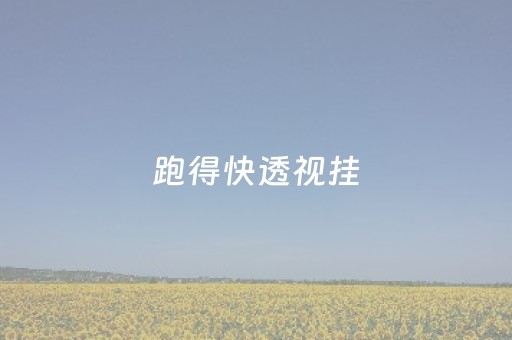 跑得快透视挂（跑得快开挂神器安装）