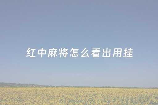 红中麻将怎么看出用挂（红中麻将怎么拿红中）