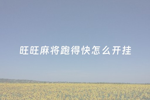 旺旺麻将跑得快怎么开挂（单机旺旺麻将）