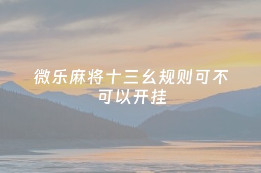 微乐麻将十三幺规则可不可以开挂（微乐麻将技巧十句口诀）