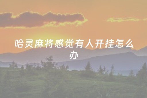 哈灵麻将感觉有人开挂怎么办（哈灵麻将有挂没挂怎么看）