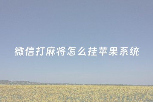 微信打麻将怎么挂苹果系统（微信麻将开挂神器苹果）