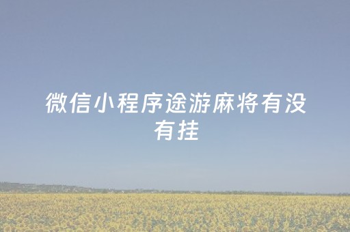 微信小程序途游麻将有没有挂（小程序途游麻将绝对有挂）