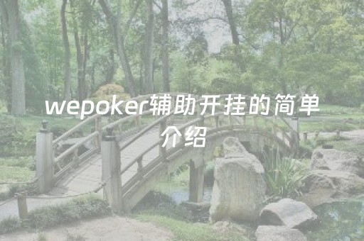 wepoker辅助开挂的简单介绍