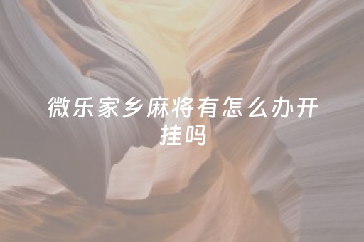 微乐家乡麻将有怎么办开挂吗（终于知道微乐家乡麻将有挂吗）