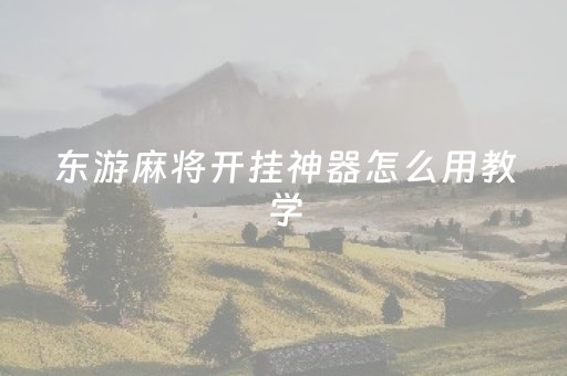 东游麻将开挂神器怎么用教学（东游麻将记牌器）