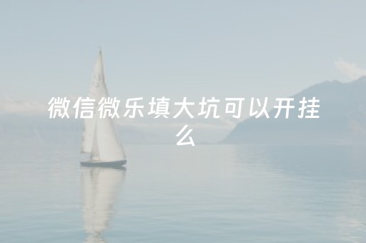 微信微乐填大坑可以开挂么（微乐填大坑有吗）