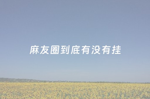 麻友圈到底有没有挂（麻友圈有挂吗?）