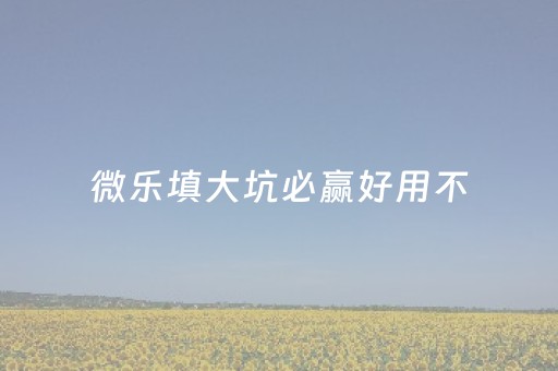 微乐填大坑必赢好用不（微乐填大坑有挂么）