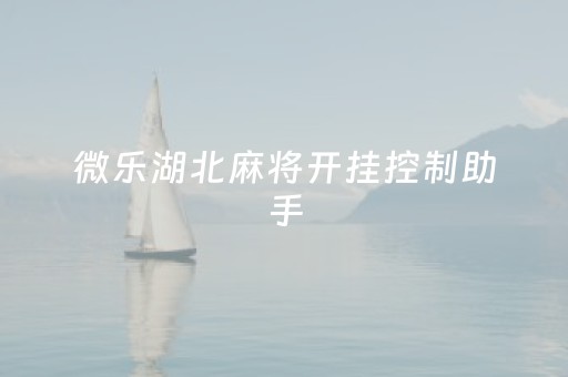 微乐湖北麻将开挂控制助手（微乐麻将开挂安装）