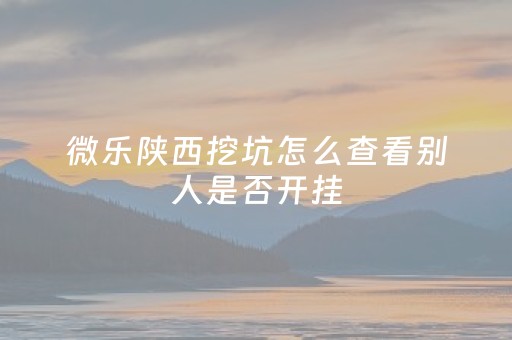 微乐陕西挖坑怎么查看别人是否开挂（微乐陕西挖坑有记牌器吗）