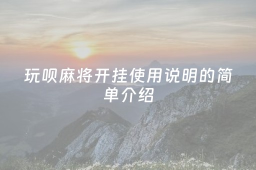 玩呗麻将开挂使用说明的简单介绍