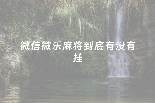 微信微乐麻将到底有没有挂（微信上的微乐麻将有没有挂）