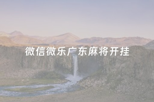 微信微乐广东麻将开挂（微乐广东怎么开挂）