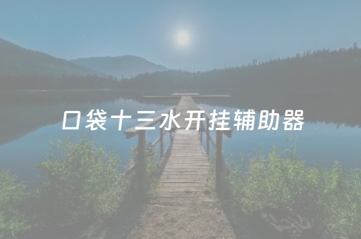 口袋十三水开挂辅助器（口袋十三水安卓）