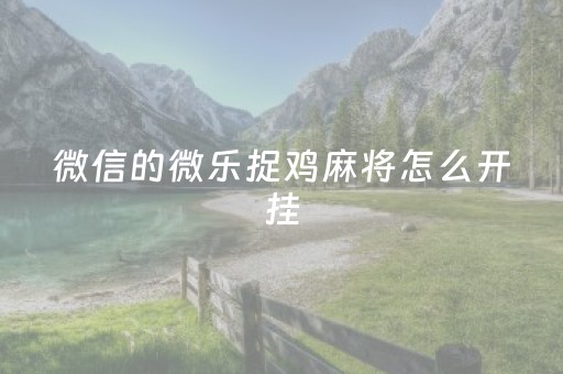 微信的微乐捉鸡麻将怎么开挂（微乐捉鸡打麻将开挂方法免费）