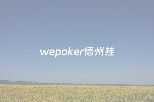 wepoker德州挂（wepoker德州透视）