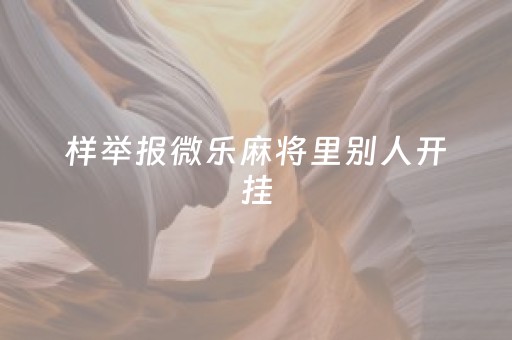 样举报微乐麻将里别人开挂（微乐麻将被拦截怎么解除）