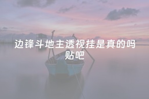 边锋斗地主透视挂是真的吗贴吧（边锋斗地主有挂吗）