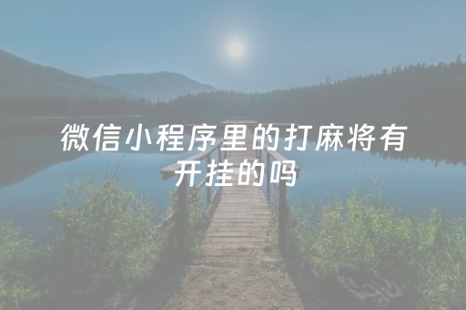 微信小程序里的打麻将有开挂的吗（微信小程序打麻将有没有挂）