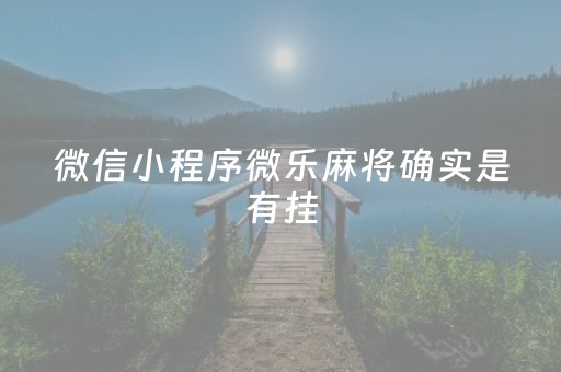 微信小程序微乐麻将确实是有挂（微信微乐小程序麻将真的能开挂么其实另有马脚）