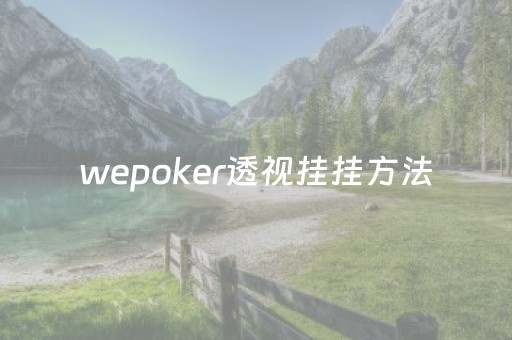 wepoker透视挂挂方法（wepoker透视挂辅助挂）