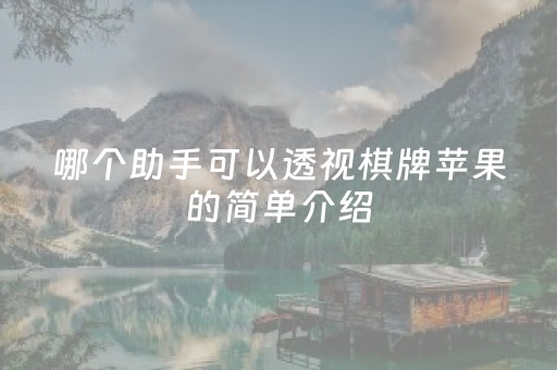 哪个助手可以透视棋牌苹果的简单介绍（棋牌透视助手苹果版）