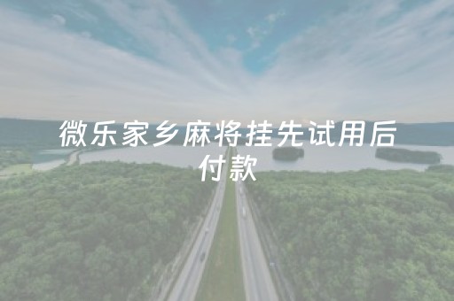 微乐家乡麻将挂先试用后付款（微乐家乡麻将开挂教程）