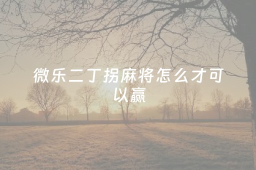 微乐二丁拐麻将怎么才可以赢（微乐捉鸡麻将二丁拐怎么玩）