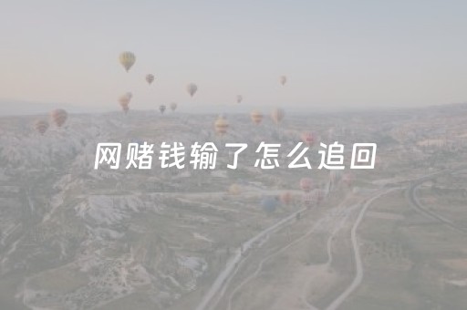 网赌钱输了怎么追回（网赌输了怎么追回来真的可以追回吗）