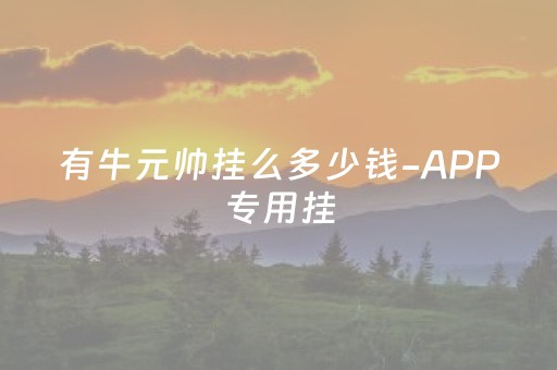 有牛元帅挂么多少钱-APP专用挂（牛元帅有挂吗）