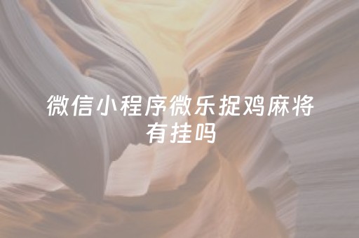 微信小程序微乐捉鸡麻将有挂吗（微信小程序微乐捉鸡麻将外卦神器安装免费）