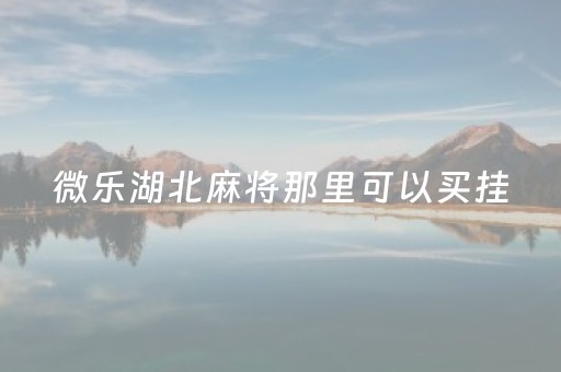 微乐湖北麻将那里可以买挂（微乐湖北麻将怎么提高胜率）