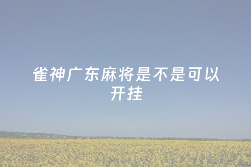 雀神广东麻将是不是可以开挂（雀神广东麻将如何开挂）