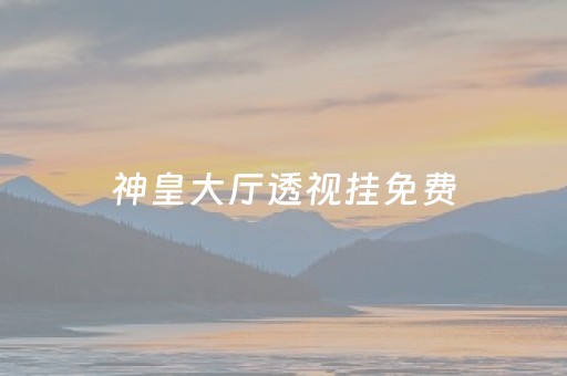 神皇大厅透视挂免费（神皇大道）