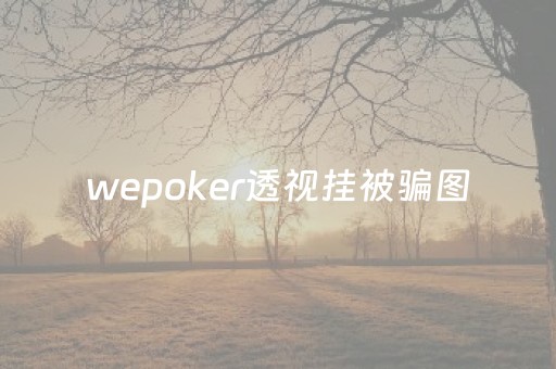 wepoker透视挂被骗图（wepoker有透视挂吗）