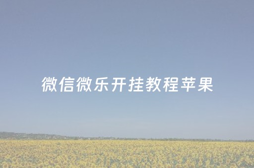 微信微乐开挂教程苹果（微乐开挂）