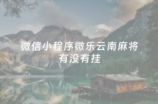 微信小程序微乐云南麻将有没有挂（微乐云南麻将可以开挂吗）