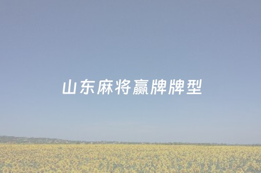 山东麻将赢牌牌型（山东麻将怎么算赢）