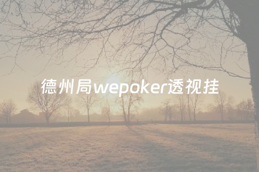 德州局wepoker透视挂（wepoker德州透视是真的吗）