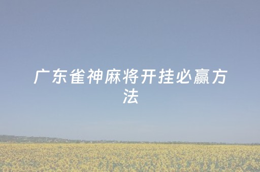 广东雀神麻将开挂必赢方法（雀神广东麻将开挂神器）