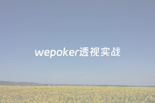 wepoker透视实战（wepoker透视版）