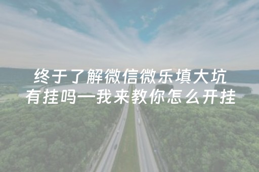 终于了解微信微乐填大坑有挂吗—我来教你怎么开挂（微信微乐填大坑辅助工具）