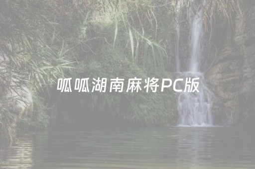 呱呱湖南麻将PC版（湖南呱呱叫食品有限公司）