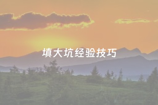 填大坑经验技巧（填大坑10起 技巧）