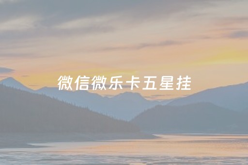 微信微乐卡五星挂（微乐卡五星开挂安装）